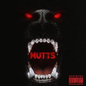 MUTTS (Explicit)