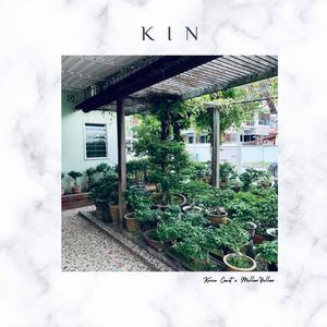 Kin (Explicit)