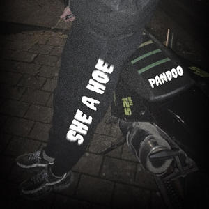 She a Hoe (Explicit)