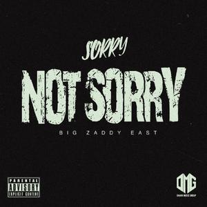 Sorry Not Sorry Freestyle (Explicit)
