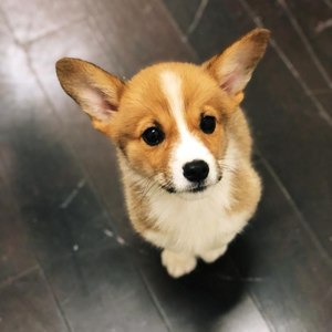 忘记你真的做不到