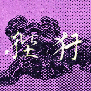 渔女 - 大海雀封面