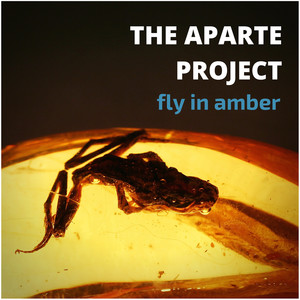 Fly in Amber