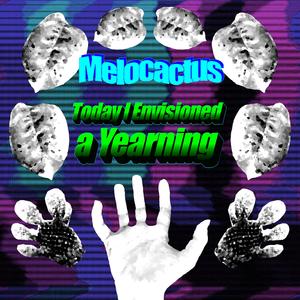 Take a Gander (Butterfly Mix)