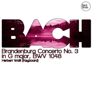 Brandenburg Concerto No. 3 in G major, BWV 1048: III. Allegro (G大调第3号勃兰登堡协奏曲，作品1048：第三乐章 快板)