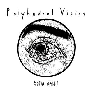 Polyhedral Vision