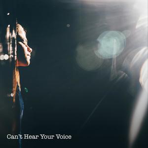 Can't Hear Your Voice