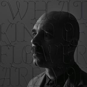 THERE IS A PLEASURE (FEAT. TOMASZ MREŃCA)