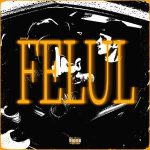 Felul(feat. Raju) (Explicit)