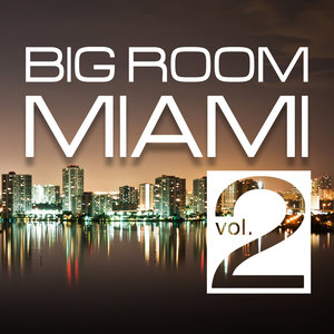 Big Room Miami Vol. 2