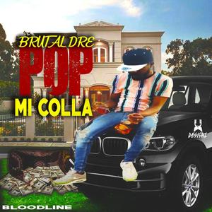POP MI COLLA