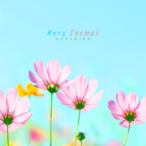 하늘거리는 코스모스 (Wavy Cosmos)