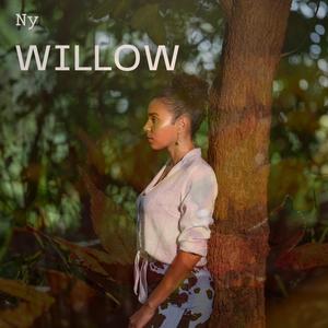 Willow (Sped Up)