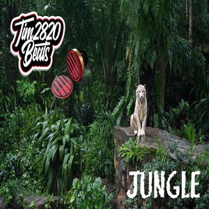 JUNGLE (feat. THE BEATMAN)