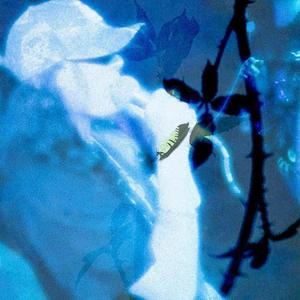 i dont want to see my face (Explicit)