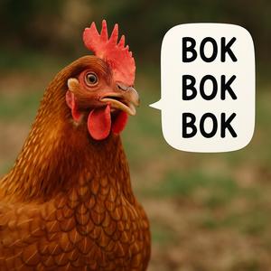 BOK! BOK! BOK! (Explicit)