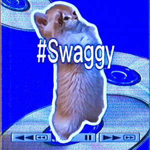 #Swaggy (Explicit)