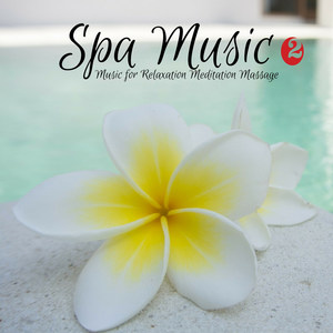 Spa Music 2 - Music for Relaxation Meditation Massage