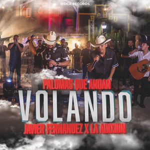 Palomas que andan Volando