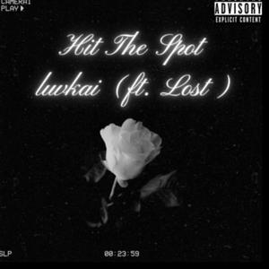 Hit The Spot (feat. Lost) [Explicit]