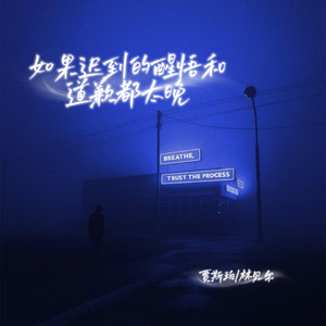 如果迟到的醒悟和道歉都太晚