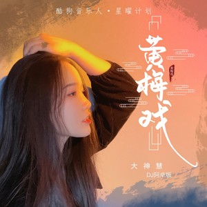 黄梅戏-大神慧