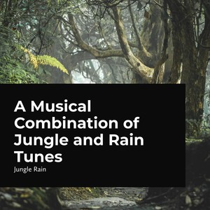 A Musical Combination of Jungle and Rain Tunes