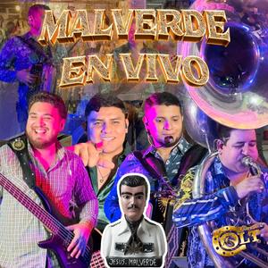 El Legado De Malverde (En vivo)