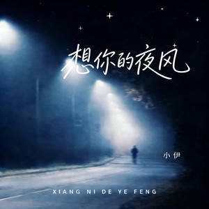 想你的夜风（吹进我的梦）