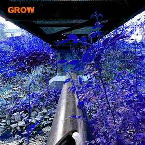 in(toxic) (Explicit)