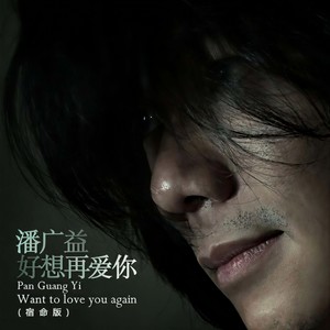 好想再爱你 (宿命版)