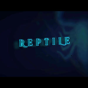 Repile 1 (Explicit)