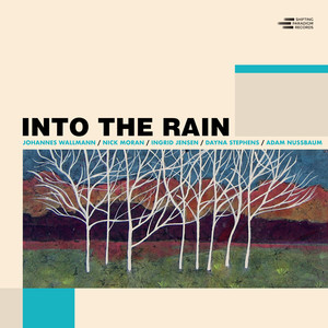 Into the Rain