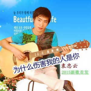 为什么伤害我的人是你