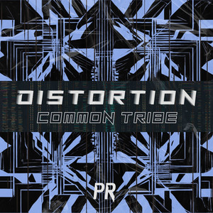 Distortion