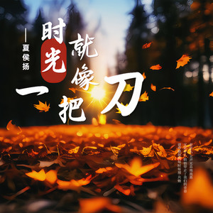 时光就像一把刀