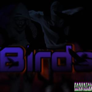 Birds (feat. Realer) (Explicit)