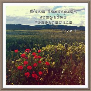 Ще се срещнем с птиците