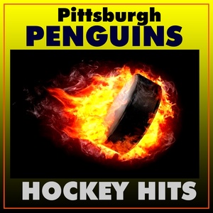 Pittsburgh Penguins Hockey Hits