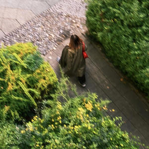 immernoch (feat. ok Jay)