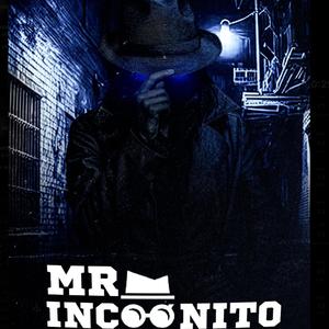 Mr Incognito (Explicit)