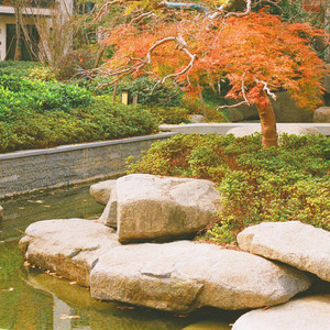 Zen Garden Reflections