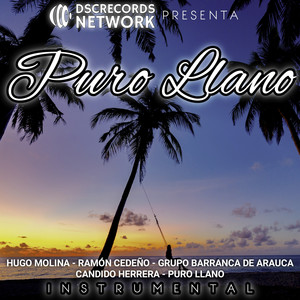 Puro Llano (Instrumental)