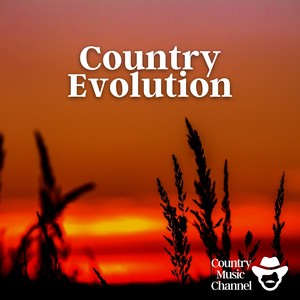 Country Evolution