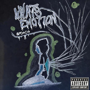 What Emotion (Explicit)