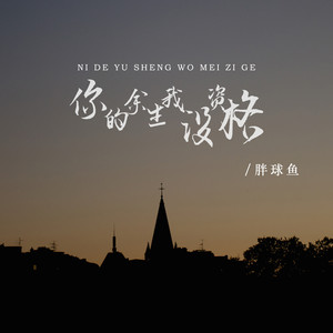 你的余生我没资格