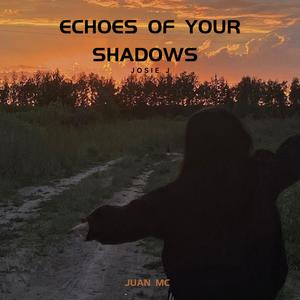 Echoes of your shadows