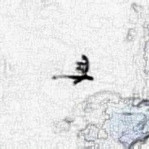 ♡Dragonheart (Explicit)