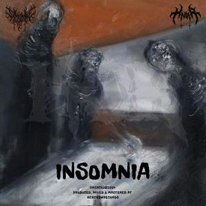 INSOMNIA (Explicit)