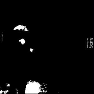 swag (feat. PleaseKaii) (Explicit)